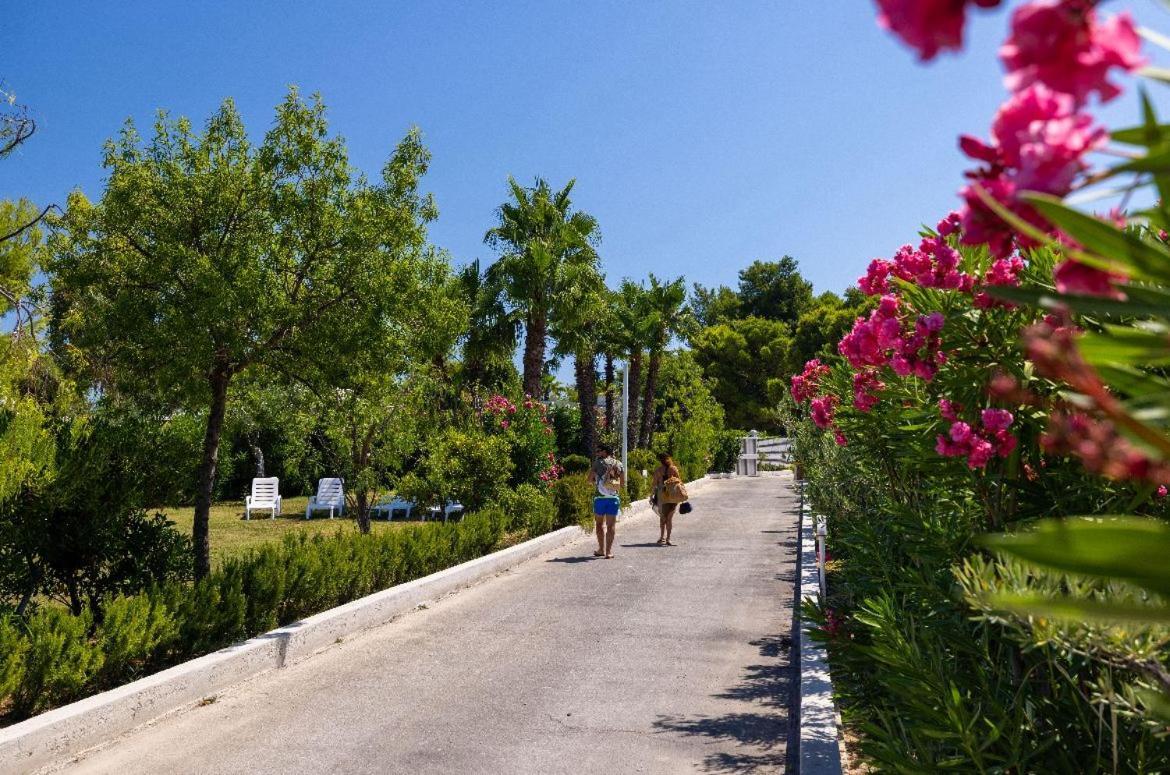 Aria Di Mare Vieste - Luxury Apartments By The Sea Exteriör bild