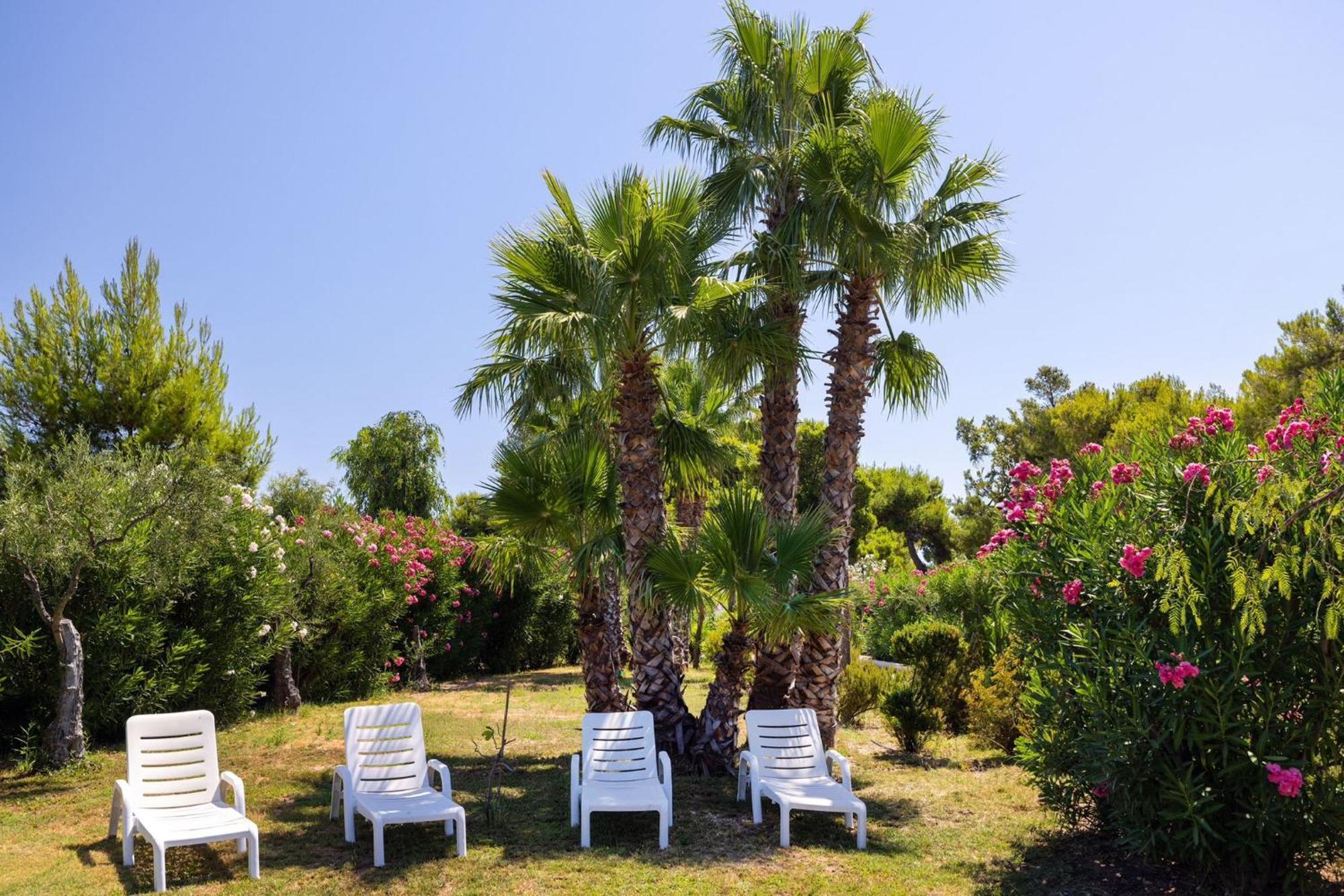 Aria Di Mare Vieste - Luxury Apartments By The Sea Exteriör bild